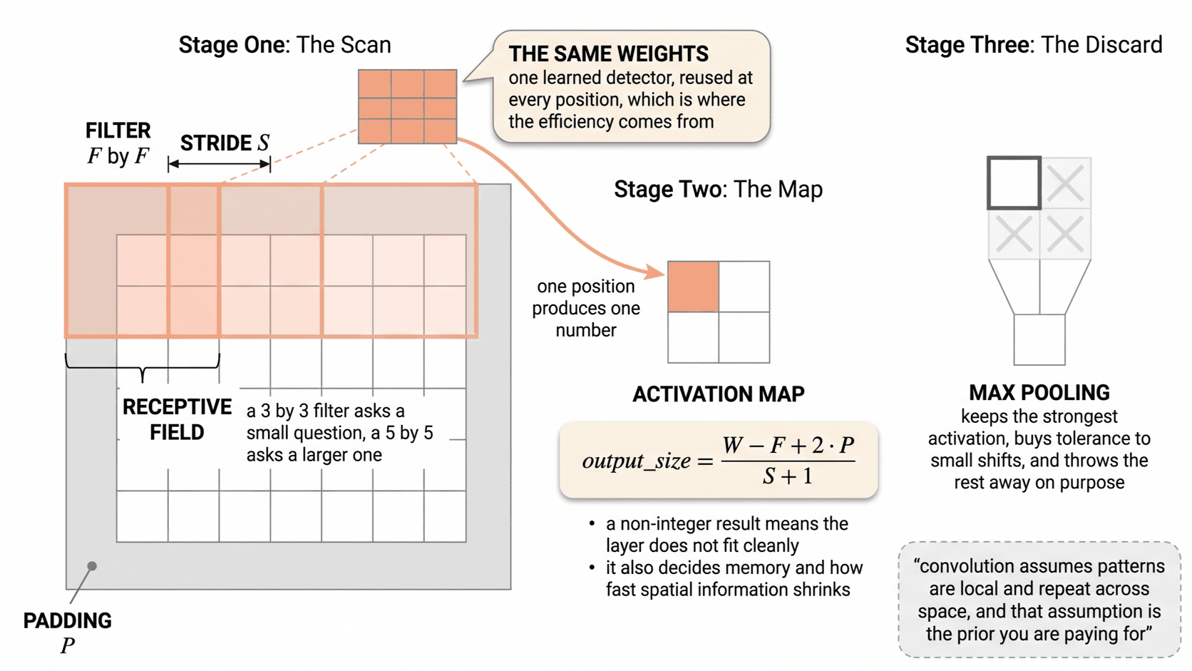 One filter steps across a padded input with the same weights at every position. Producing an activation map sized by the output formula, which a pooling step then reduces.