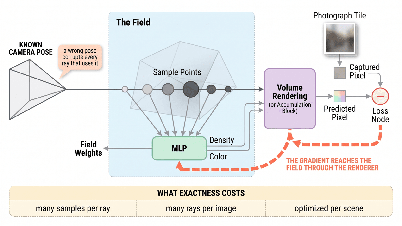 One camera ray with sample points carrying density and color, accumulating into a single predicted pixel. With the gradient returning along the same path into the field.