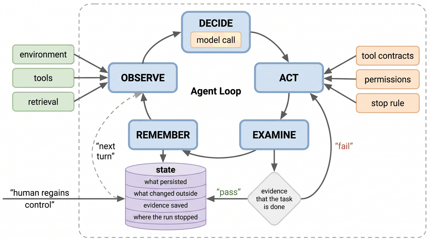 The five-step agent loop drawn as observe, decide, act, examine, and remember. With the model call at the decide node and a system boundary enclosing the tools, memory, and permissions around it.