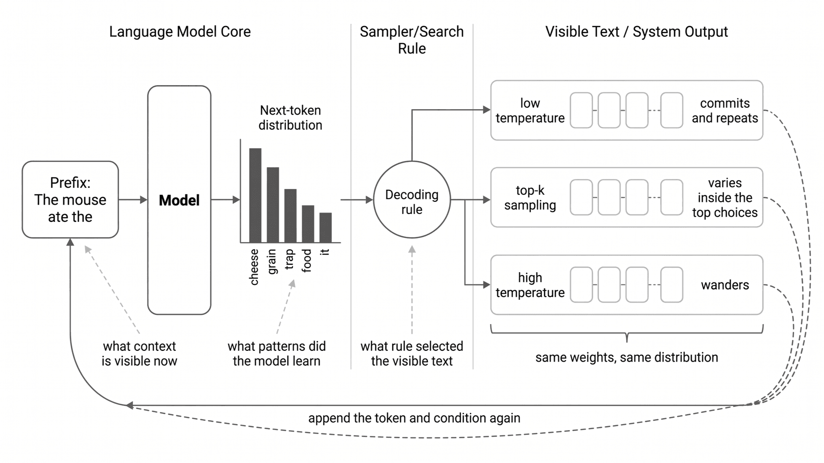 One next-token distribution feeds several decoding rules, and each rule turns the same probabilities into different visible text.
