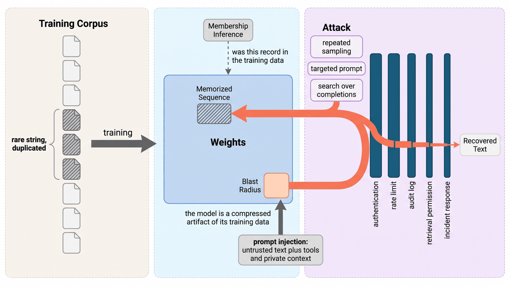 A left-to-right diagram from duplicated corpus text into the weights, out through repeated sampling and targeted prompts, and past authentication, rate limits, and audit logs.